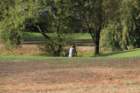 gp2020dimanche1030_small.jpg