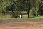 gp2020dimanche1031_small.jpg