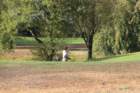 gp2020dimanche1032_small.jpg