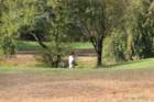 gp2020dimanche1033_small.jpg