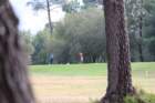 gp2020dimanche1053_small.jpg