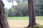gp2020dimanche1054_small.jpg