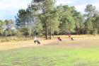 gp2020dimanche1062_small.jpg