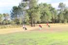 gp2020dimanche1063_small.jpg