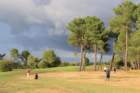 gp2020dimanche1065_small.jpg