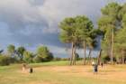 gp2020dimanche1066_small.jpg
