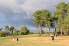 gp2020dimanche1067_small.jpg
