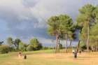 gp2020dimanche1068_small.jpg
