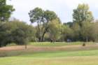 gp2020dimanche613_small.jpg
