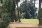 gp2020dimanche743_small.jpg