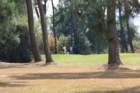 gp2020dimanche744_small.jpg