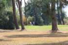 gp2020dimanche745_small.jpg