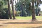 gp2020dimanche746_small.jpg