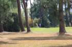 gp2020dimanche749_small.jpg