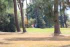 gp2020dimanche751_small.jpg