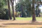 gp2020dimanche752_small.jpg