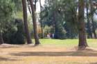 gp2020dimanche753_small.jpg