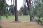 gp2020dimanche796_small.jpg