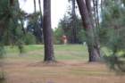 gp2020dimanche798_small.jpg