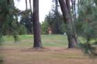 gp2020dimanche799_small.jpg