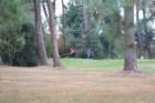 gp2020dimanche827_small.jpg