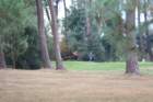 gp2020dimanche828_small.jpg