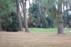 gp2020dimanche829_small.jpg