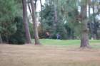 gp2020dimanche830_small.jpg