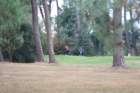 gp2020dimanche831_small.jpg