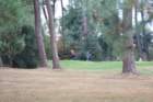 gp2020dimanche832_small.jpg