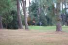 gp2020dimanche833_small.jpg
