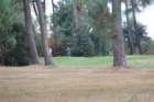 gp2020dimanche834_small.jpg