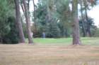 gp2020dimanche835_small.jpg