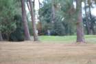 gp2020dimanche836_small.jpg