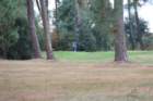 gp2020dimanche837_small.jpg