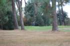 gp2020dimanche838_small.jpg