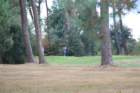 gp2020dimanche839_small.jpg