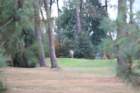 gp2020dimanche842_small.jpg