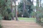 gp2020dimanche844_small.jpg