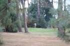 gp2020dimanche845_small.jpg