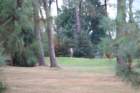 gp2020dimanche846_small.jpg