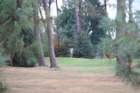 gp2020dimanche848_small.jpg