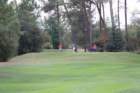 gp2020dimanche885_small.jpg