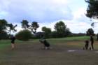 gp2020dimanche936_small.jpg