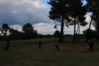 gp2020dimanche942_small.jpg