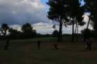 gp2020dimanche943_small.jpg