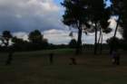 gp2020dimanche944_small.jpg