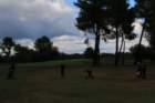 gp2020dimanche946_small.jpg