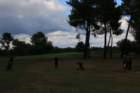 gp2020dimanche947_small.jpg