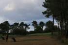 gp2020dimanche982_small.jpg